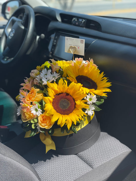 Regina, Caja con Girasoles