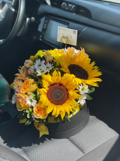 Regina, Caja con Girasoles