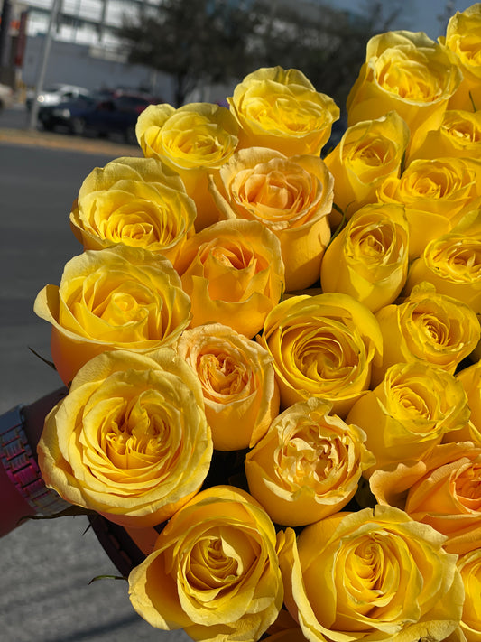 Daniela, Hermoso Corazón Amarillo