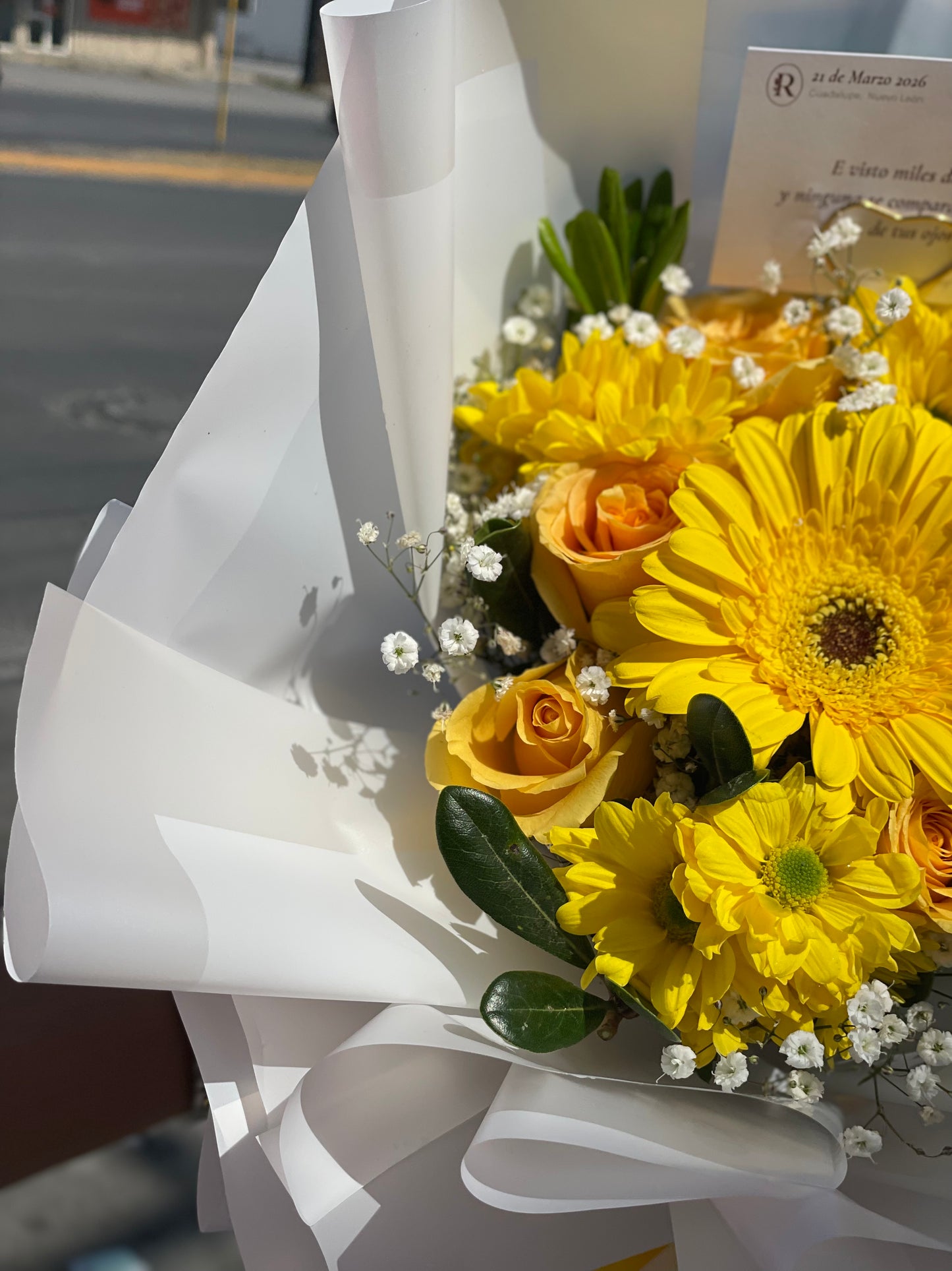 Renata, Hermosas Flores Amarillas