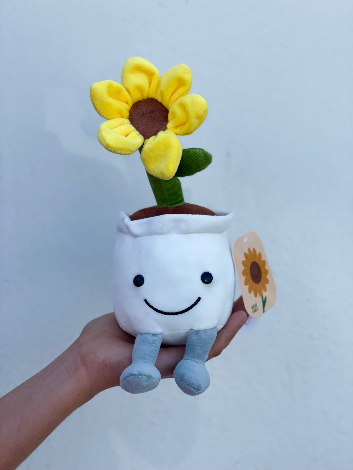 Titi, plantita feliz