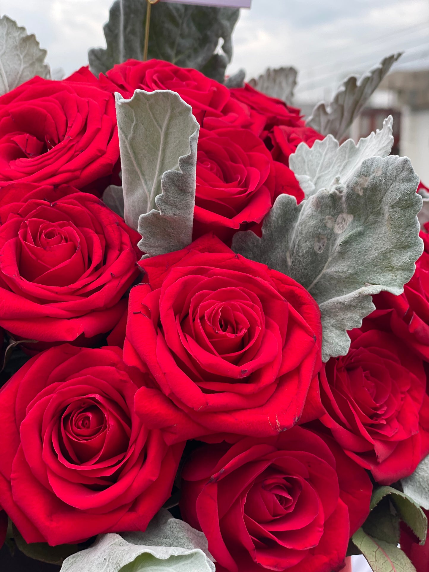 Paris, Caja Negra con Rosas Rojas y Follaje