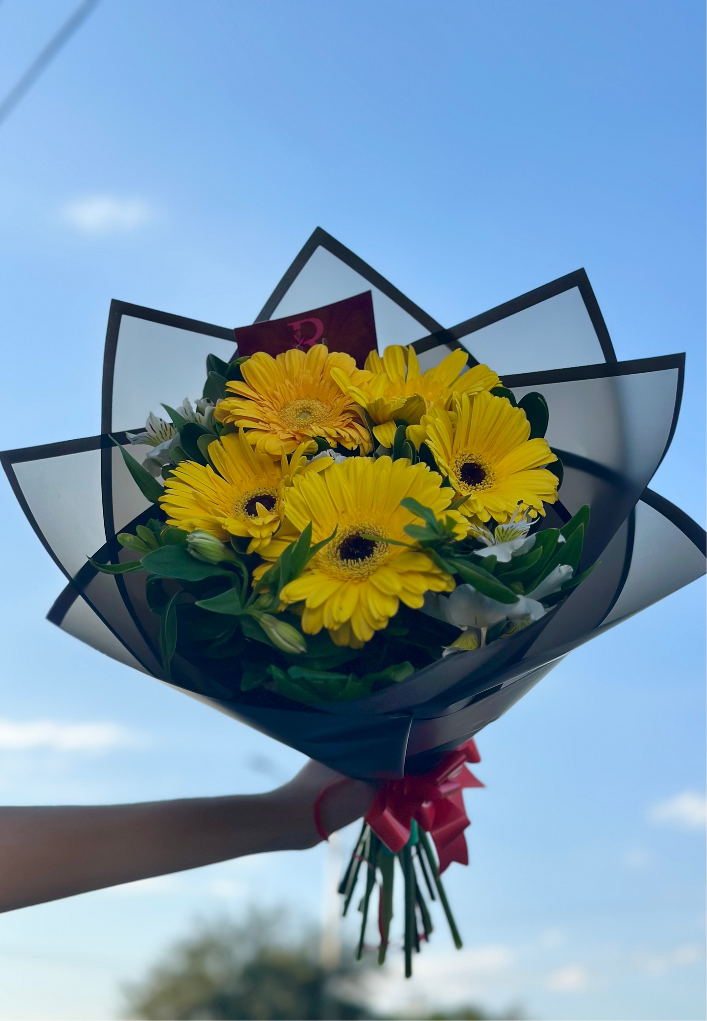 5 Gerberas Día Amarillo