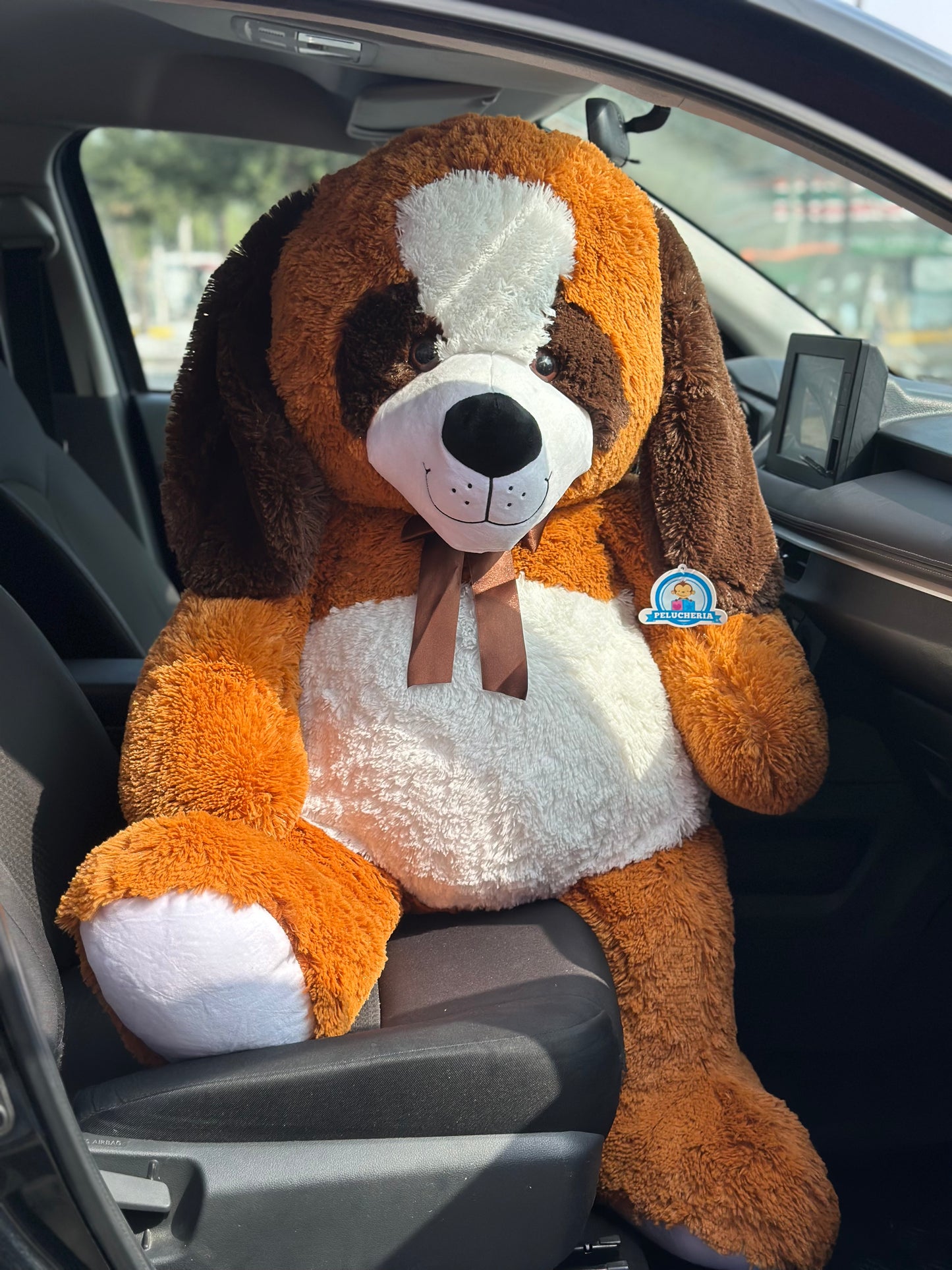 Berny Perrito Gigante