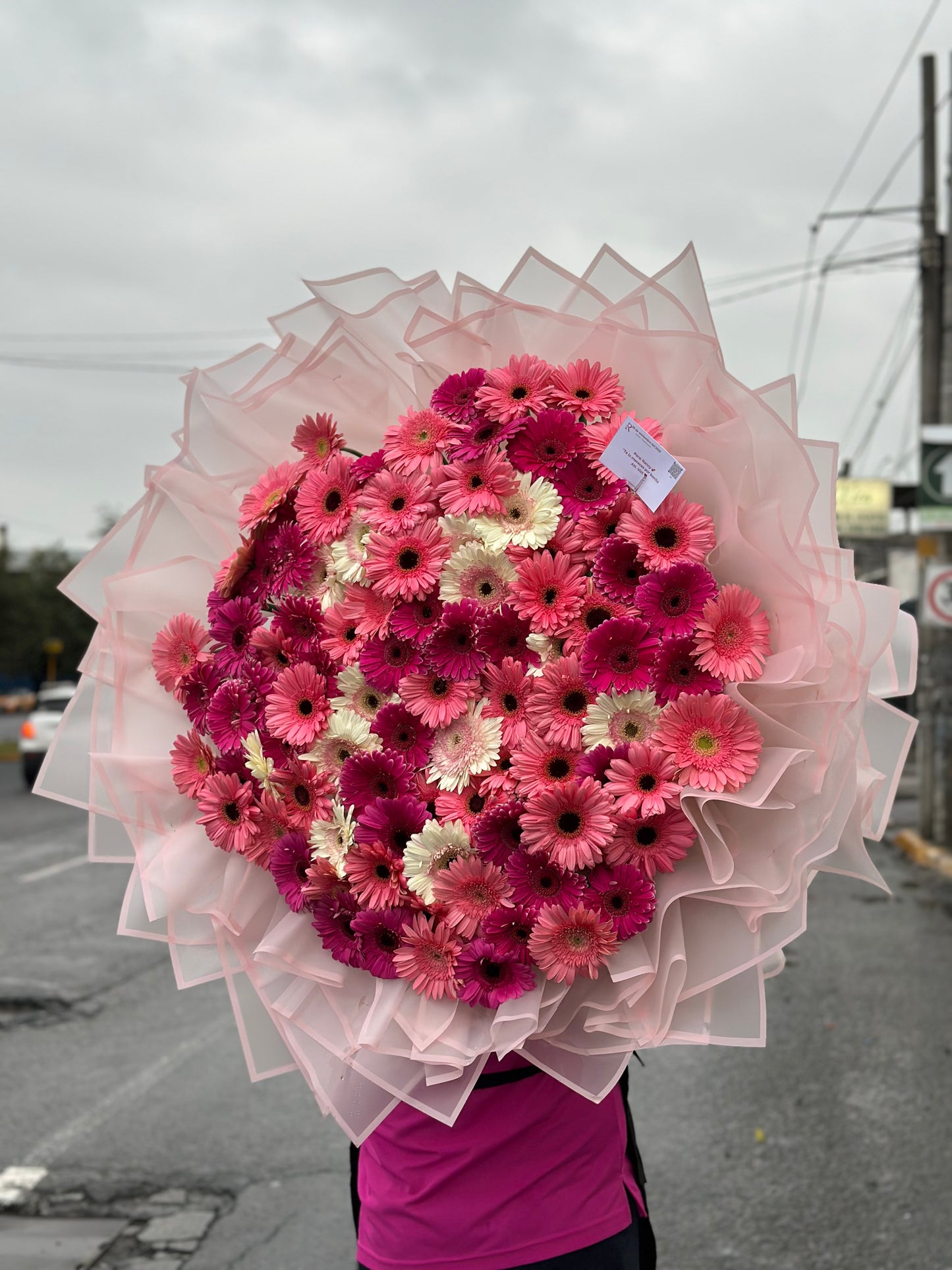 Buchon de 100 Gerberas