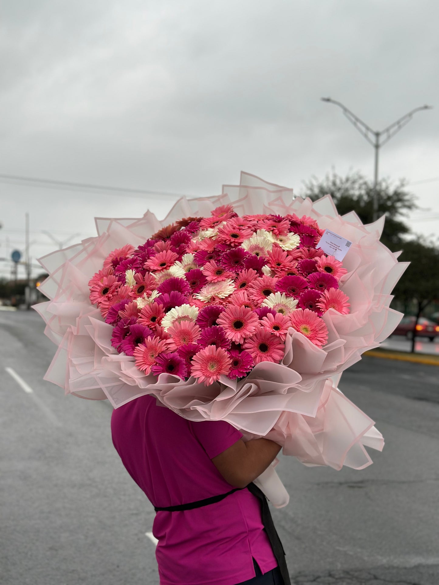 Buchon de 100 Gerberas