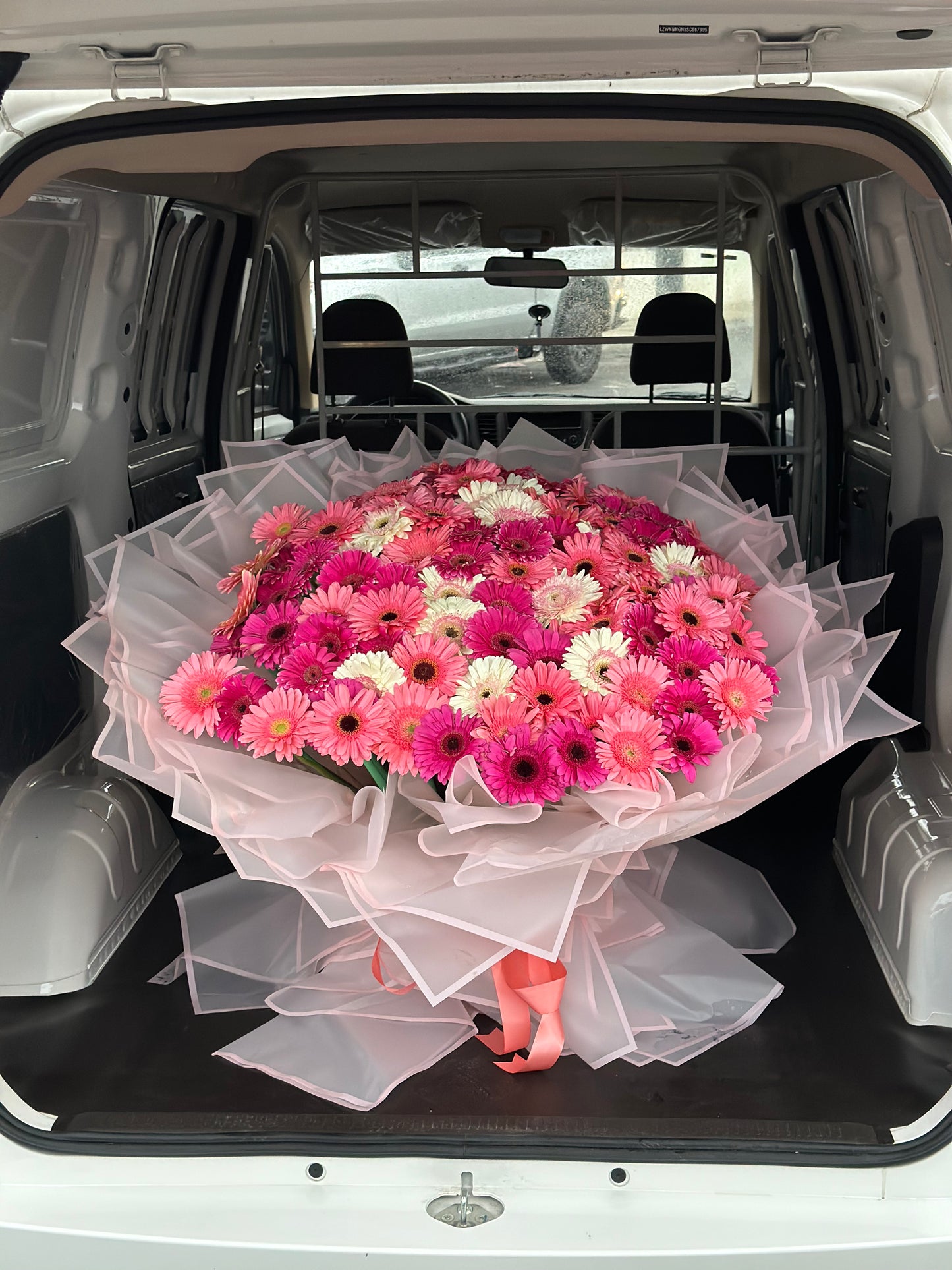 Buchon de 100 Gerberas