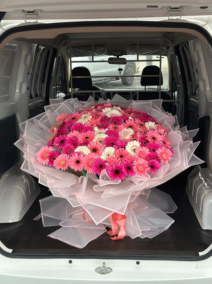 Buchon de 100 Gerberas