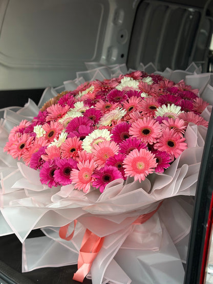 Buchon de 100 Gerberas