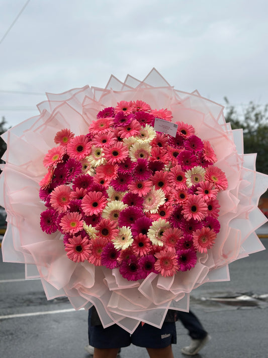 Buchon de 100 Gerberas