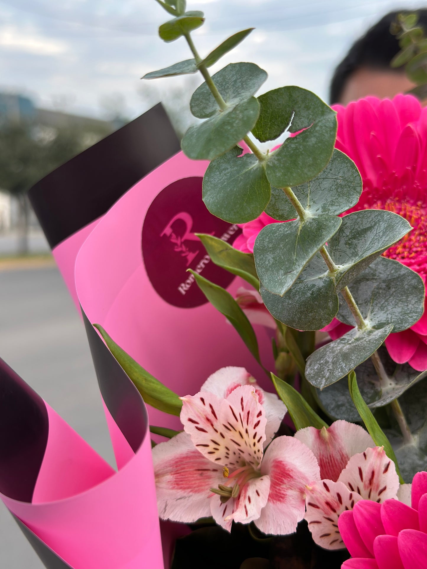 Mia, hermosas gerberas
