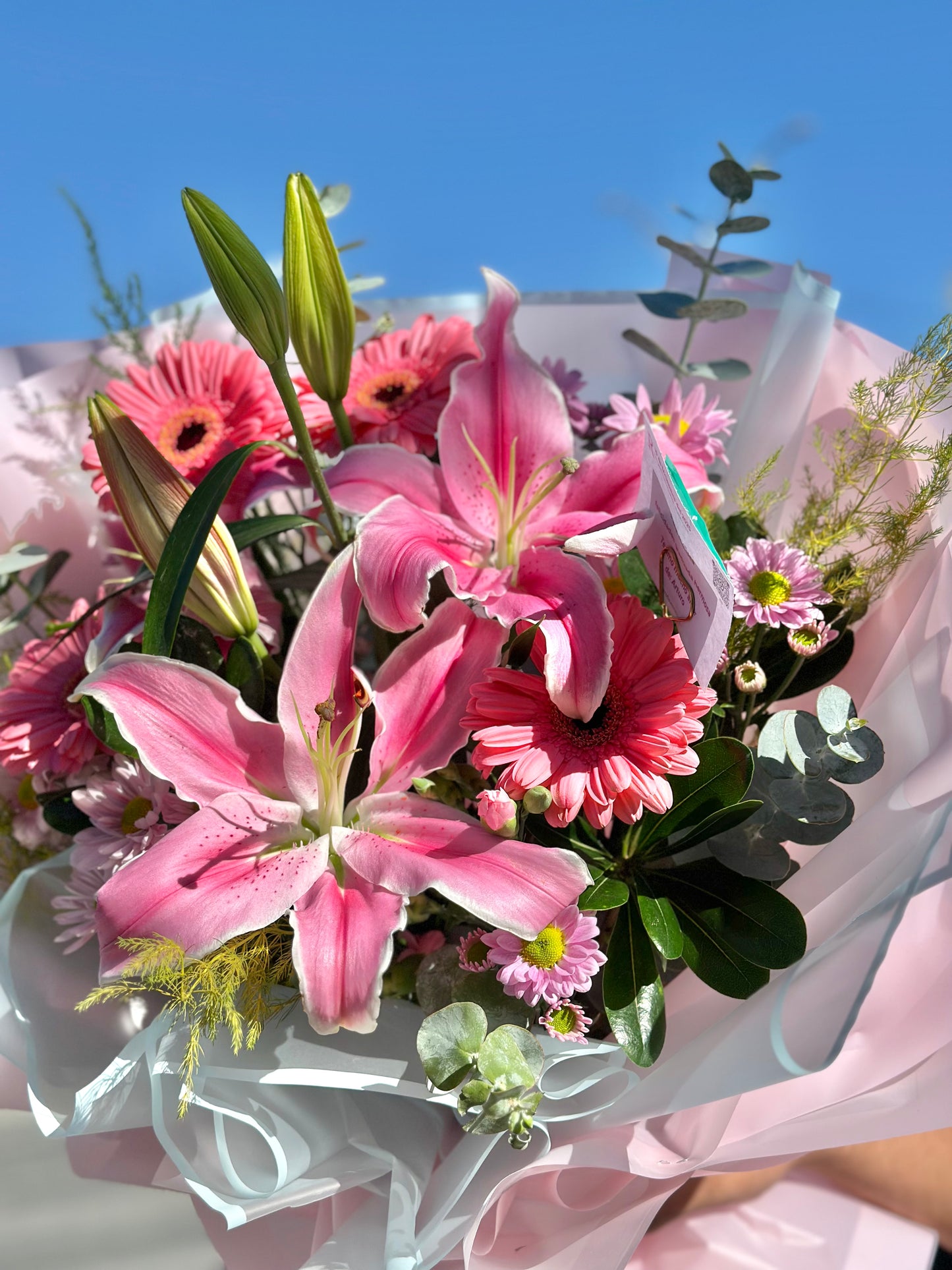 Xime, ramo stargaizer