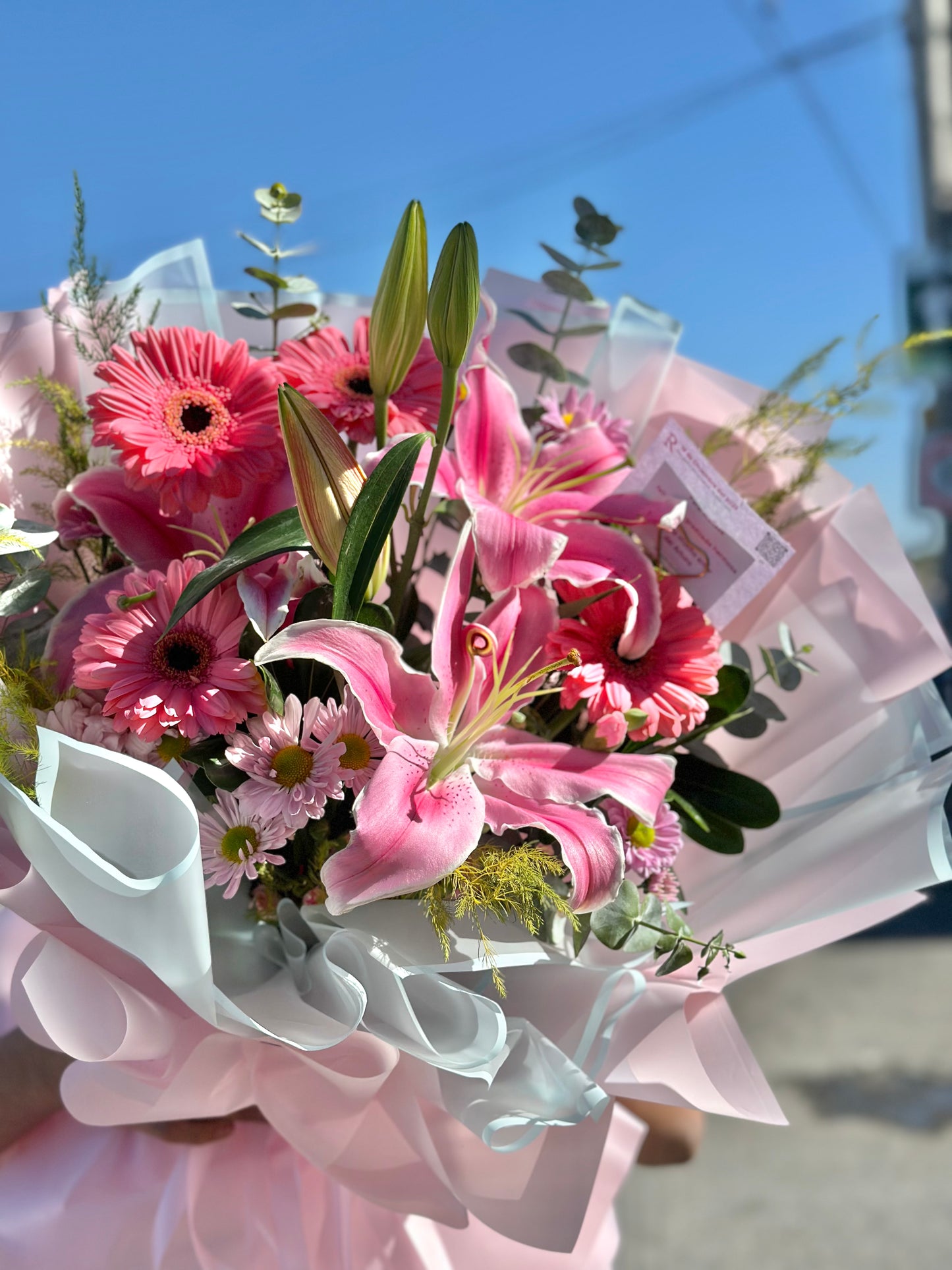 Xime, ramo stargaizer