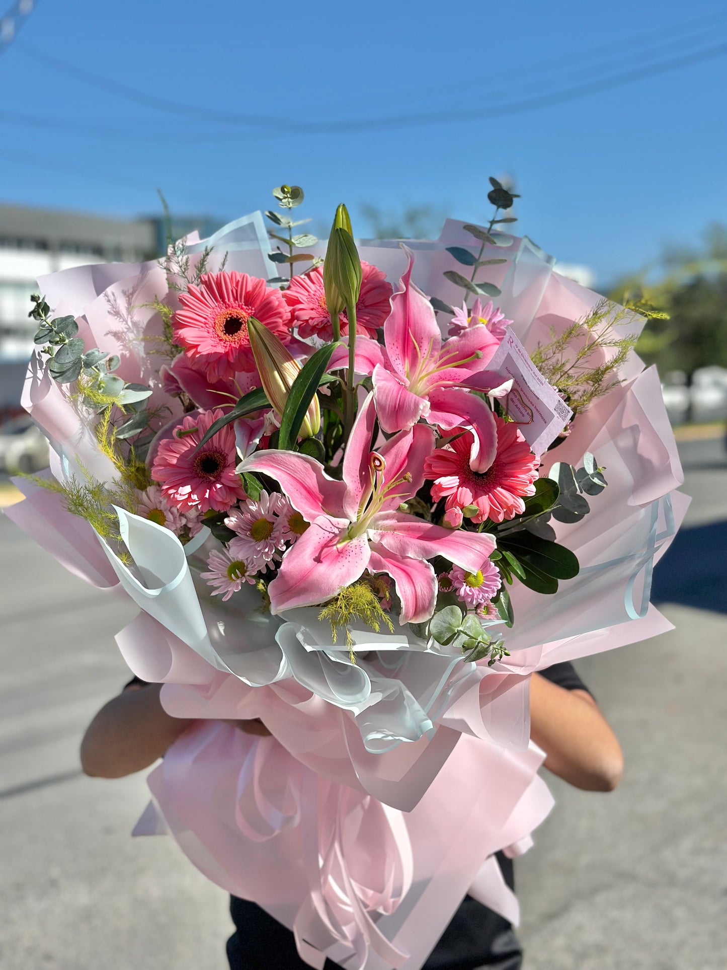 Xime, ramo stargaizer