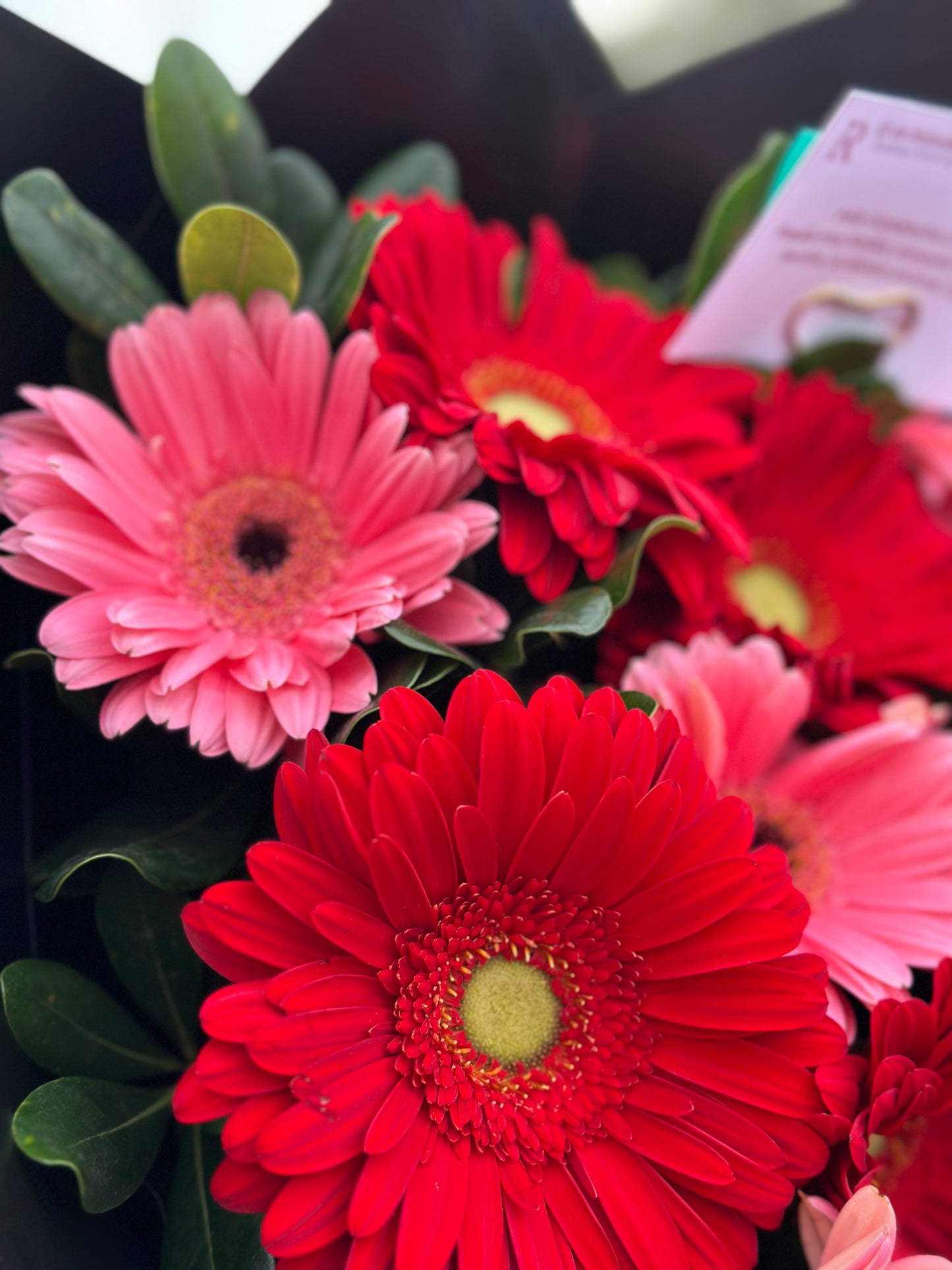 Carolina, hermoso ramo de gerberas