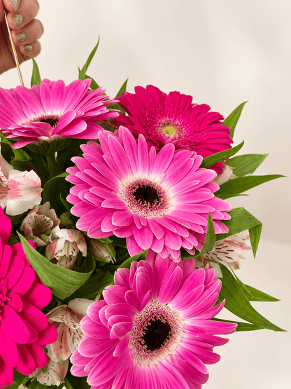 Encanto Rosado, Jarrón de Gerberas