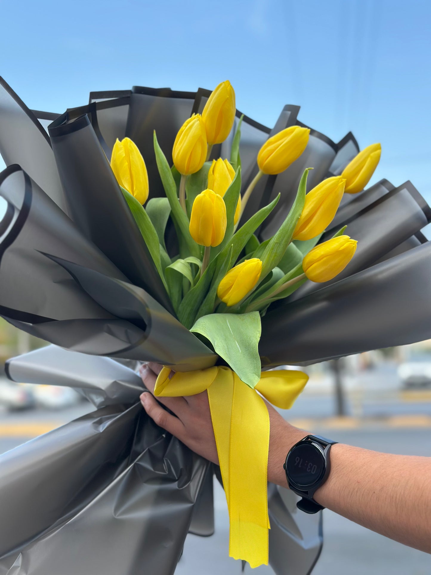 Valentina, Tulipanes Amarillos