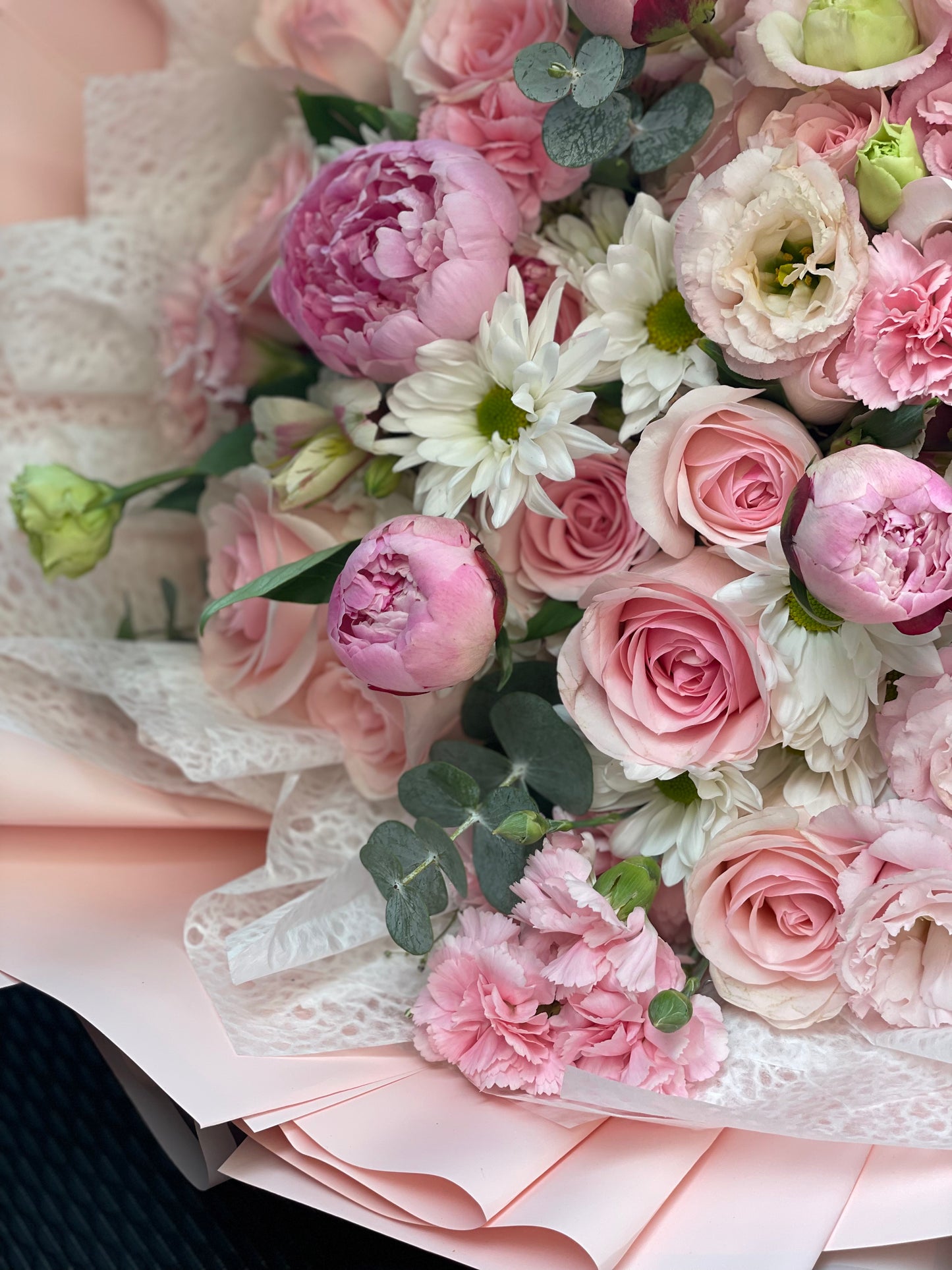 Amelia, Peonias importadas