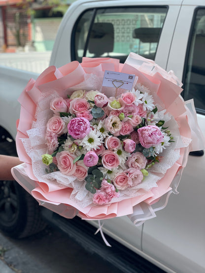 Amelia, Peonias importadas