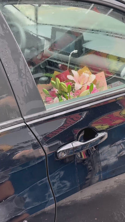 María, encanto floral